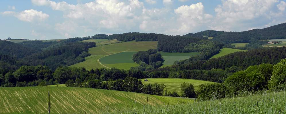 
            Фотография  Клингфурта 