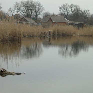 Стрижевщина