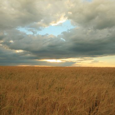 Аппаково