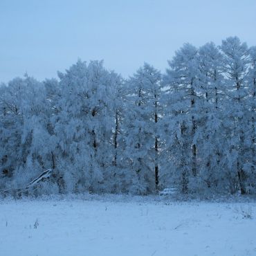 Хвощевский