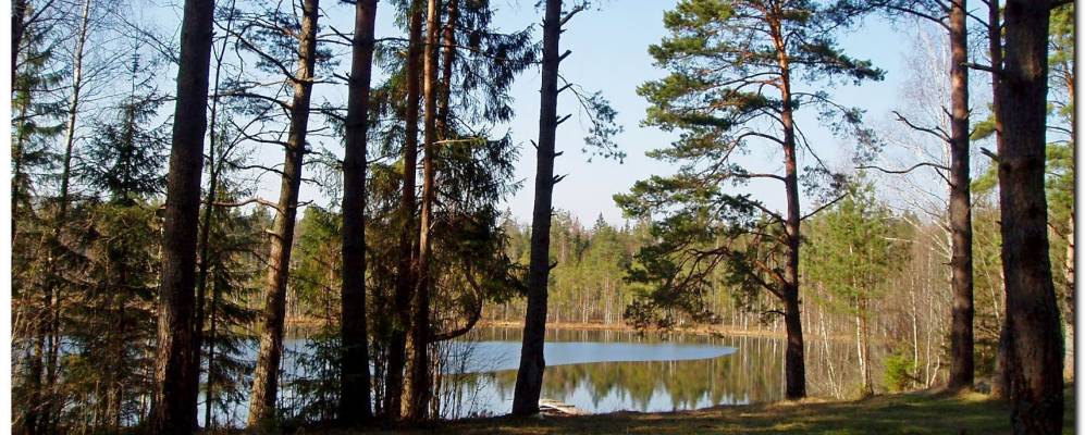 
            Фотография деревни Жаворонки-Слепни