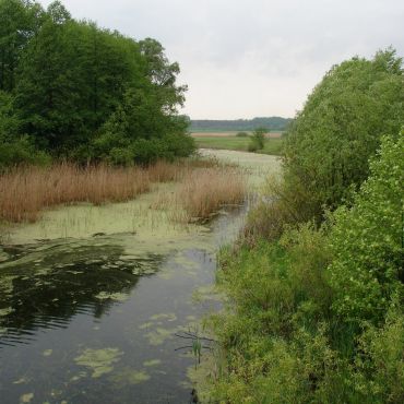 Климковка