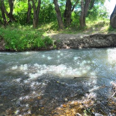 Красное Раздолье