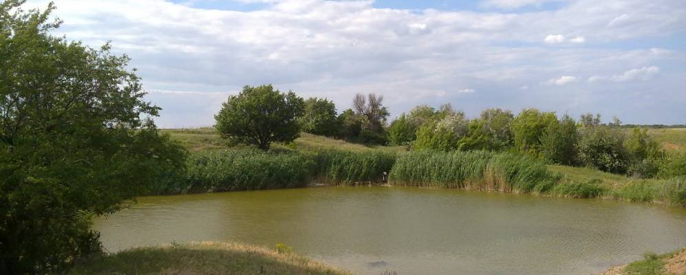 
            Фотография Запорожской Балки