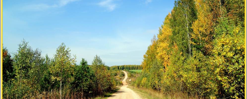 
            Фотография Перепонского