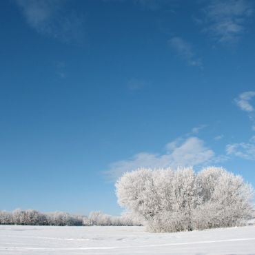 Пашковка