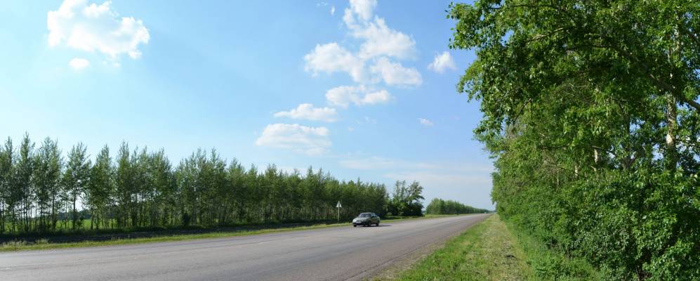 Погода в воронежском совхозе