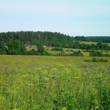 Залесье