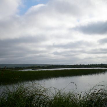 Мальцево