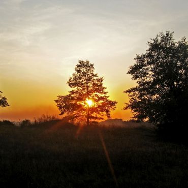 Лутовка