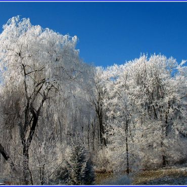 Букачевцы