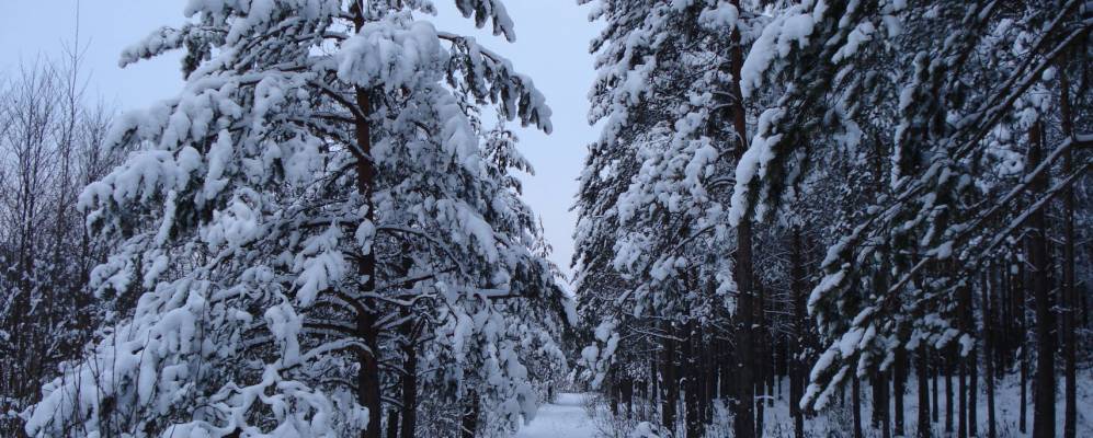 Фотография Розумово