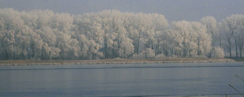 
            Фотография Рогово