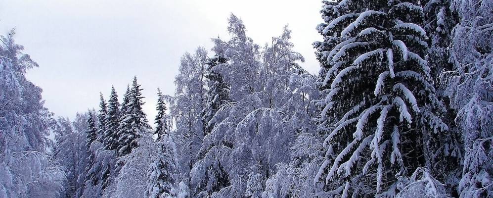 
            Фотография Черкасово