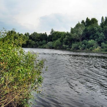 Васильево