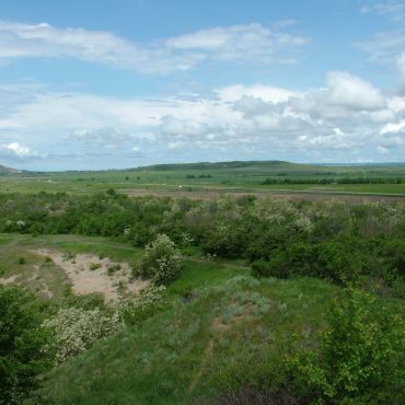 Кумской