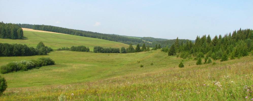 Северные увалы фото