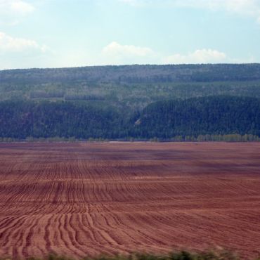 Заплескина