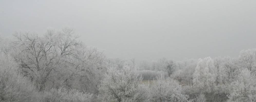 
            Фотография Saint-Pierre-les-Bois