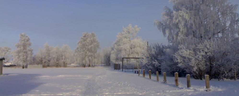 
            Фотография Зверевцев