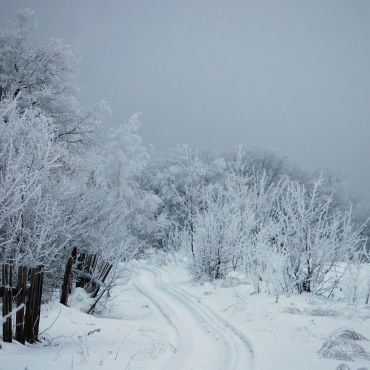 Ясная Поляна