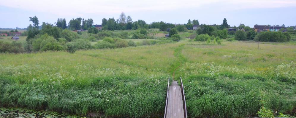 
            Фотография Строево