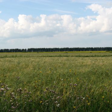 Спешнево