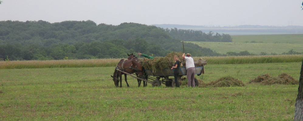 
            Фотография Кучеровки