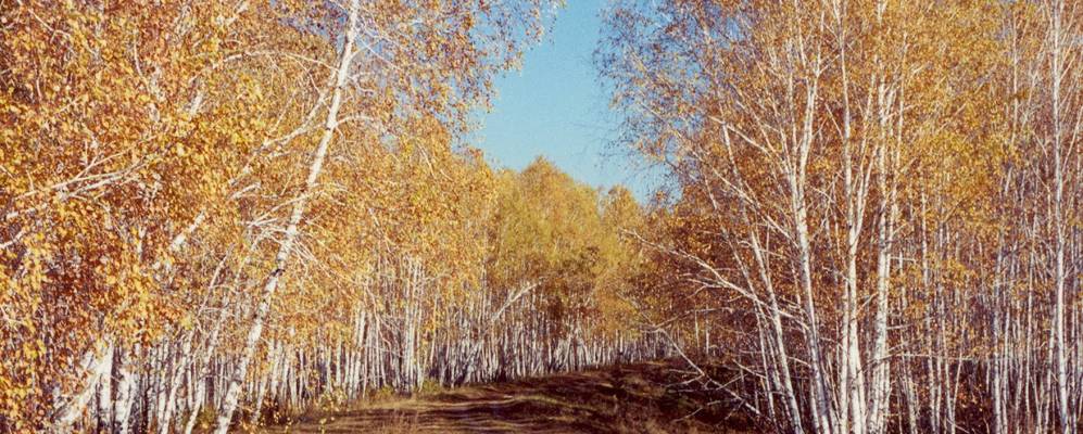 
            Фотография Казанцево