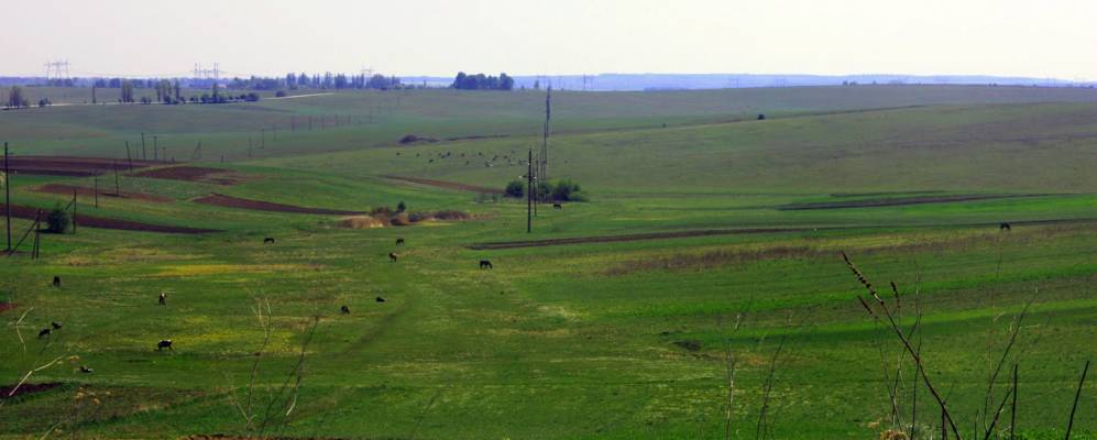 
            Фотография Держаки