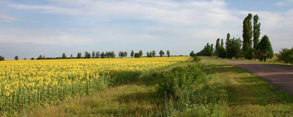 
            Фотография Будки