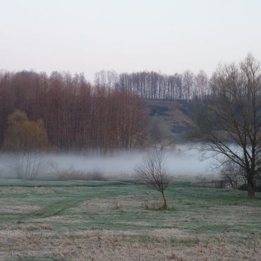 Шевченков Гай