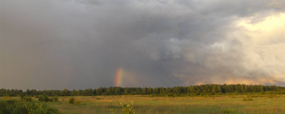 
            Фотография Друнихи