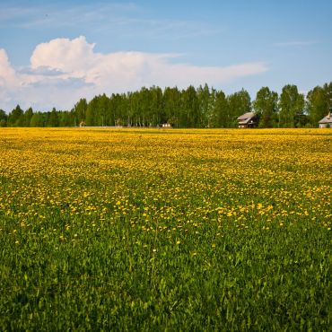 Фомицыно