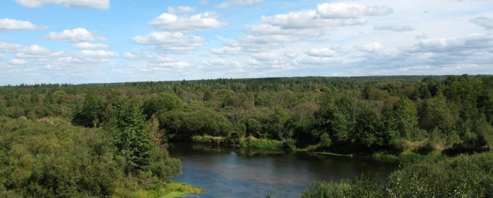 
            Фотография Падневки