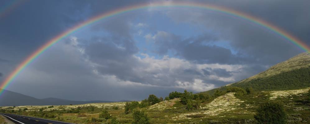 
            Фотография Йеркинн