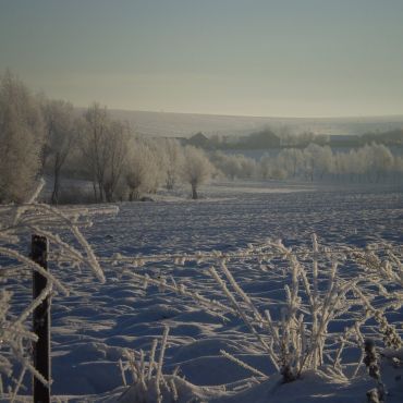 Терновица