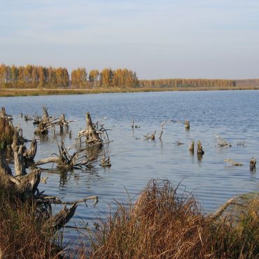 Гребнево