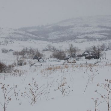 Андреевский