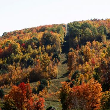 Вэйланд