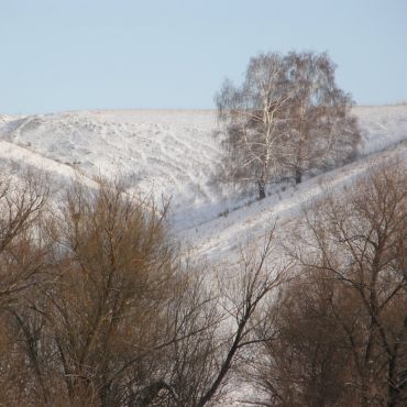 Таукай-Гайна