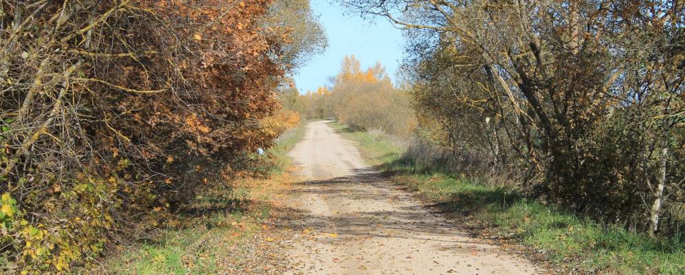 
            Фотография деревни Частки