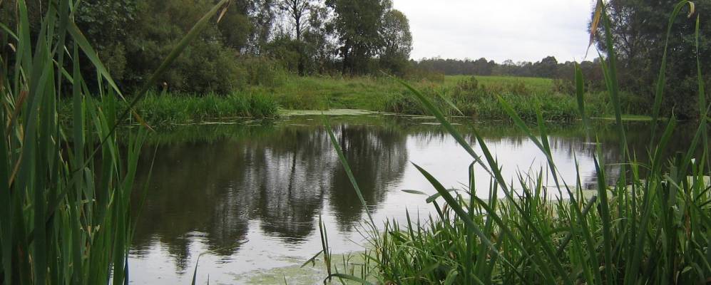 Александровка курская. Село Ястребовка Мантуровский район Курская область. Село Ястребовка Курской области Мантуровский район. Ястребовка Мантуровский район. Деревня Ястребовка Курской области.