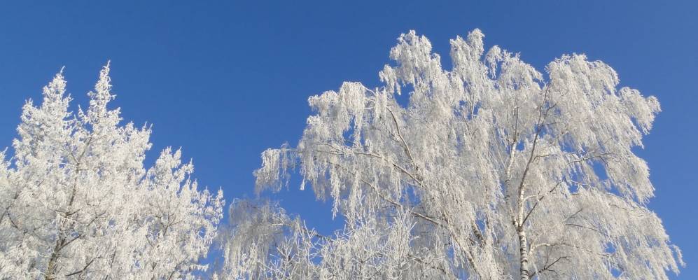 
            Фотография поселка Сетенева