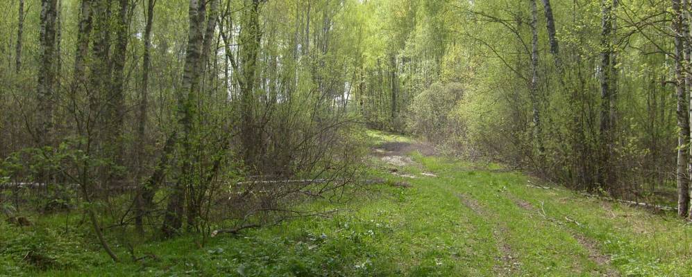 
            Фотография деревни Баченки