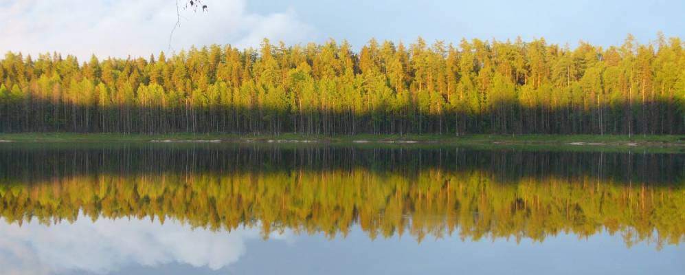 
            Фотография поселка Карасье