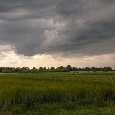 Головница