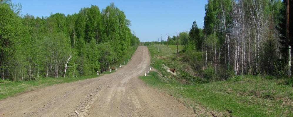 Населенный пункт томск. Село Соколовка Молчановский район. Томская область, Молчановский район, деревня Гришино. Тювинка деревня. Село Гришино, Молчановского района, Томская область.