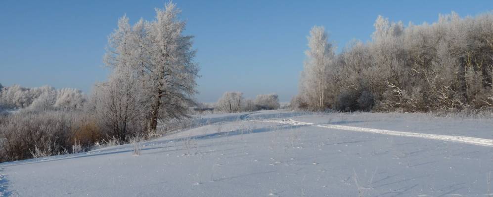 
            Фотография Смородинки