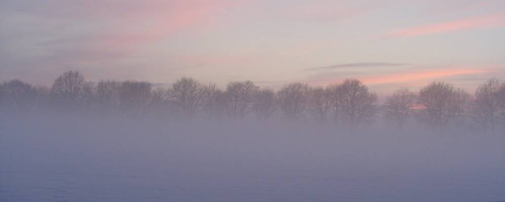 
            Фотография Dalerveen